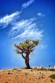 飞龙娱乐28的魅力:为何玩家纷纷选择这个平台 飞龙娱乐28的魅力:为何玩家纷纷选择这个平台