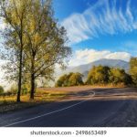 维基体育app下载指南:一步步教你轻松获取最新版本 12vp6wa6q