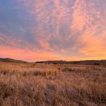 金喜体育平台官网使用指南:如何轻松注册与参与体育活动 1twe518a4a