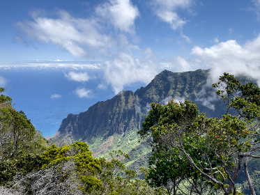 赏金国际:探索全球赏金猎人的新机遇与挑战 赏金国际:探索全球赏金猎人的新机遇与挑战