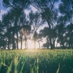 问鼎娱乐背后的故事:如何塑造明星与观众的互动体验 9w091xey3