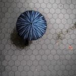 金喜体育官网的优势与特色,带你了解更多精彩内容 eg47th