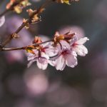 菠菜导航评级对玩家选择平台的重要性与影响 khxoiq7h07