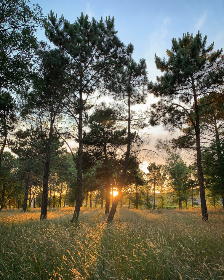 酷游体育的未来趋势:科技与运动的完美结合 酷游体育的未来趋势:科技与运动的完美结合