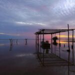 12锋味直播开启美食探索之旅 1u5gbsn5y3