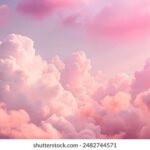 13051期大乐透开奖结果揭晓:大奖花落谁家引关注 2844p