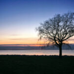 13076期大乐透开奖结果震撼揭晓 6t2vd6l