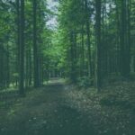 315开奖时刻:消费者权益日重磅揭晓年度维权案例 74ci9o4v