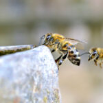 30球开奖结果最新公布,中奖号码全面揭晓 8wi599t