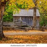 12台高清设备同步在线直播,精彩内容不间断 b7ys41