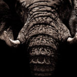 127彩票最新开奖结果查询与中奖号码公布 d15rz