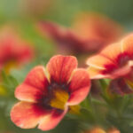 124期3D开奖历史全记录与详细数据分析 fv9634n3w7