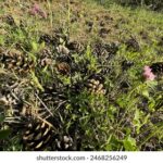 1246期开奖结果震撼揭晓,幸运号码正式公布 hc2d9az9q