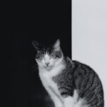 129期体彩开奖结果震撼揭晓 hq9bpr9f