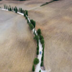 126期历史开奖号码完整回顾与详细数据分析 j4u2juqj1