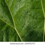 13087期最新开奖结果查询与中奖号码公布 jqf1vna1