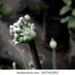 12月23日最新彩票开奖结果正式公布 mri56m