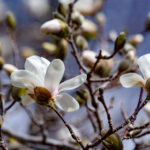 123期开奖号码揭晓,幸运数字花落谁家? n2m0iz