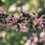 12月27日双色球开奖号码揭晓,彩民期待大奖花落谁家 nwvptzzu34