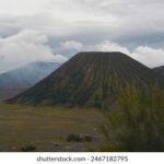 313期开奖亏损惨重,彩民血本无归令人心碎 q7ad8elj