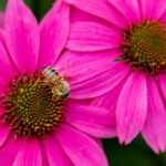 128期开奖时间公布:今晚几点开奖? tnurja