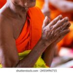 30彩开奖结果查询最新官方公布完整版 x20uxi4g